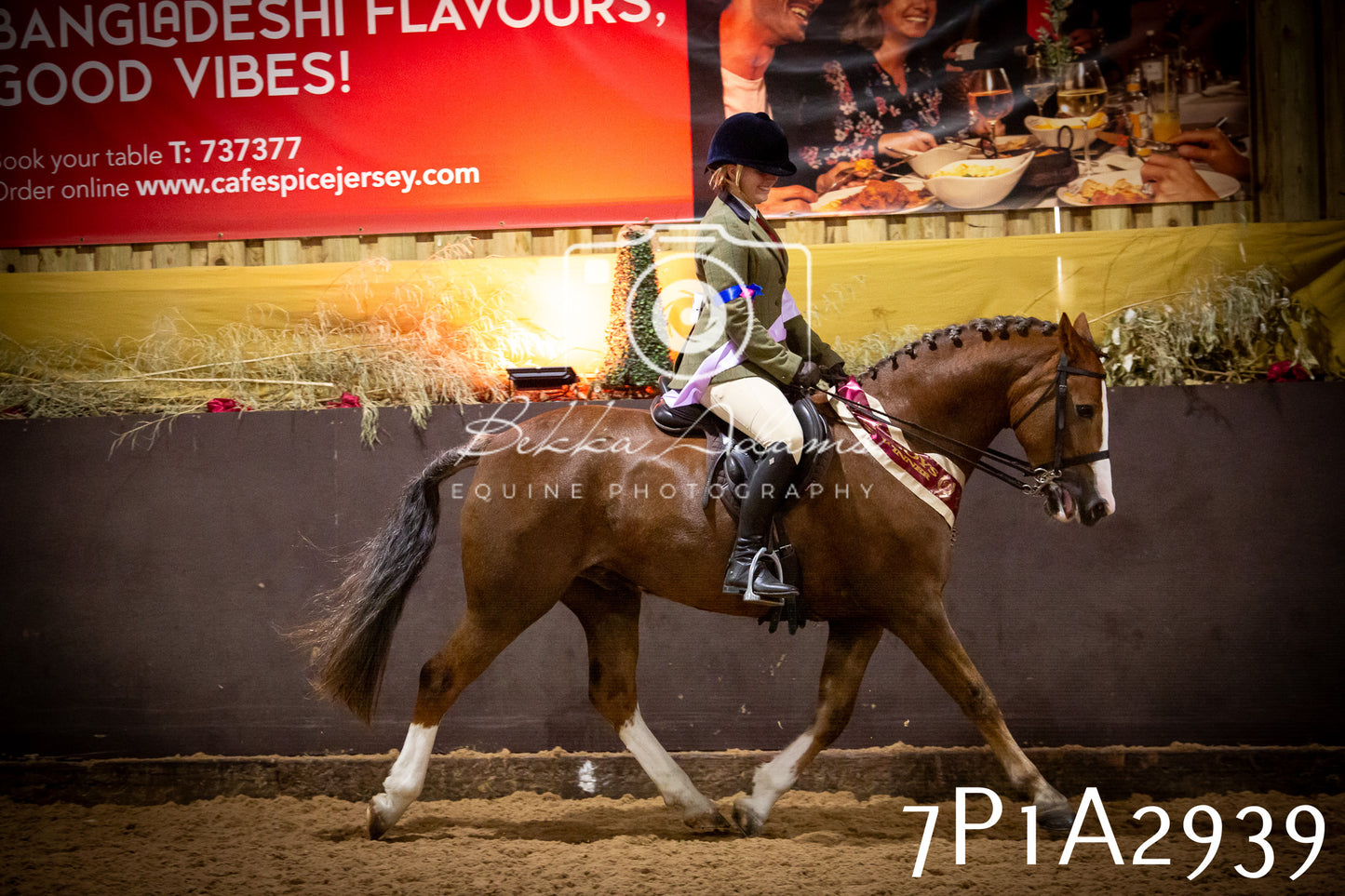 JHOYS 2025 - Ridden Showing - 28th September - pt3