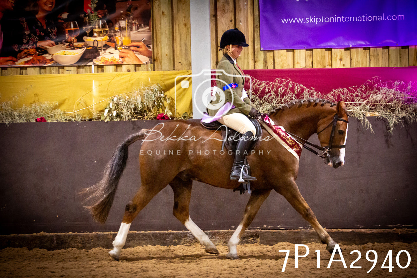 JHOYS 2025 - Ridden Showing - 28th September - pt3