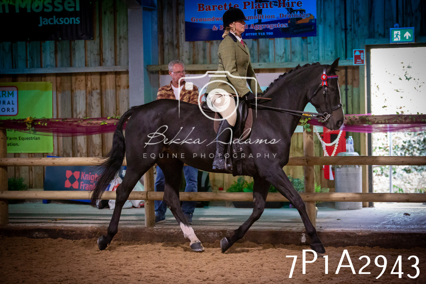 JHOYS 2025 - Ridden Showing - 28th September - pt3