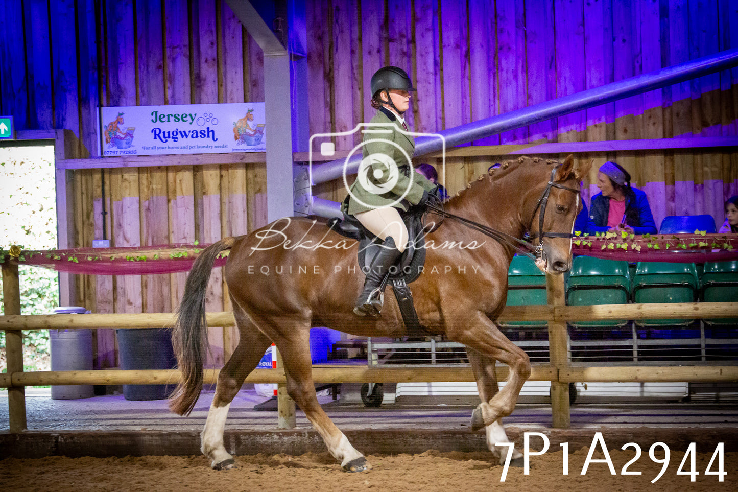 JHOYS 2025 - Ridden Showing - 28th September - pt3