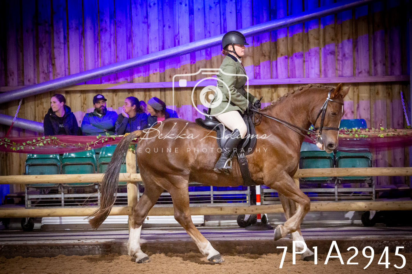 JHOYS 2025 - Ridden Showing - 28th September - pt3