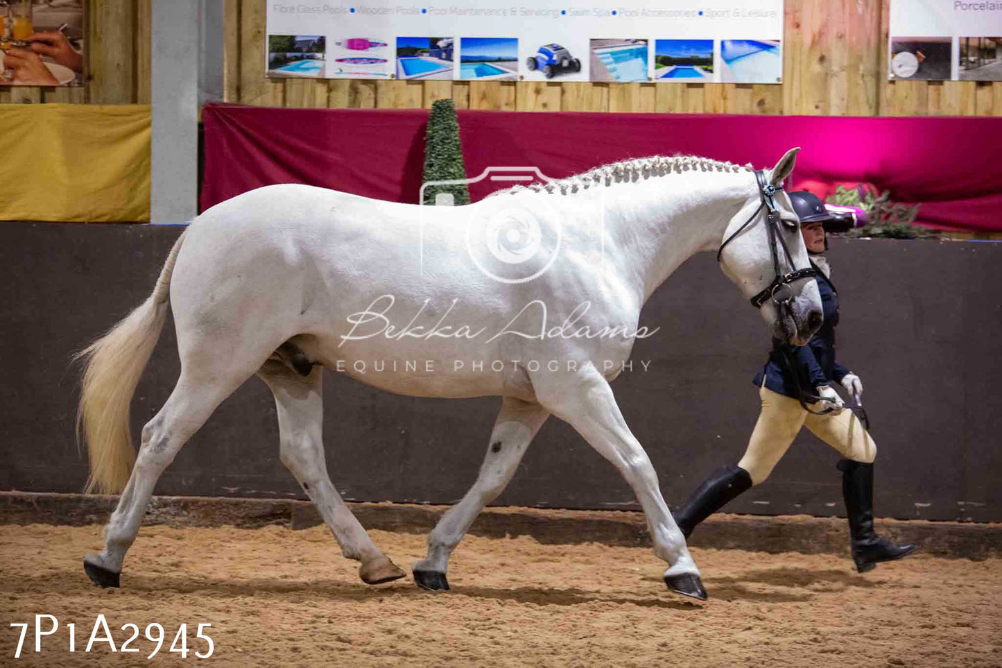 Home Farm Funshine Show 2024 - Inhand Showing 14th September