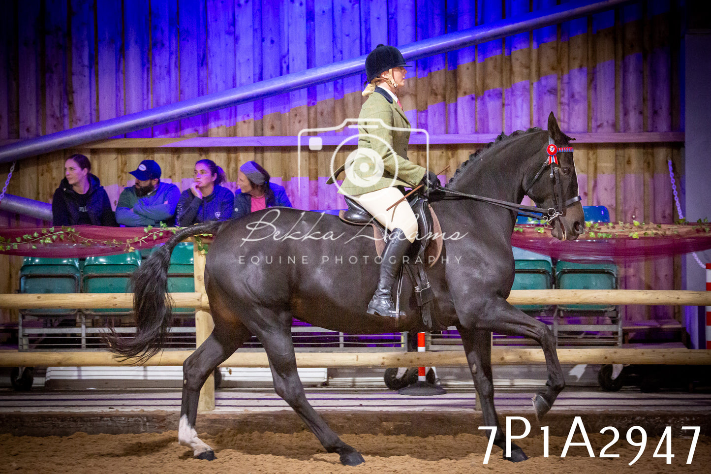 JHOYS 2025 - Ridden Showing - 28th September - pt3