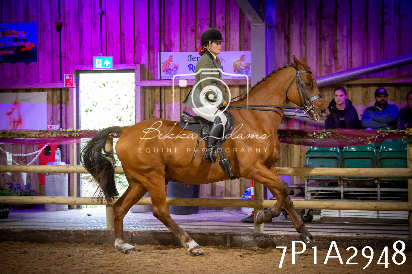 JHOYS 2025 - Ridden Showing - 28th September - pt3