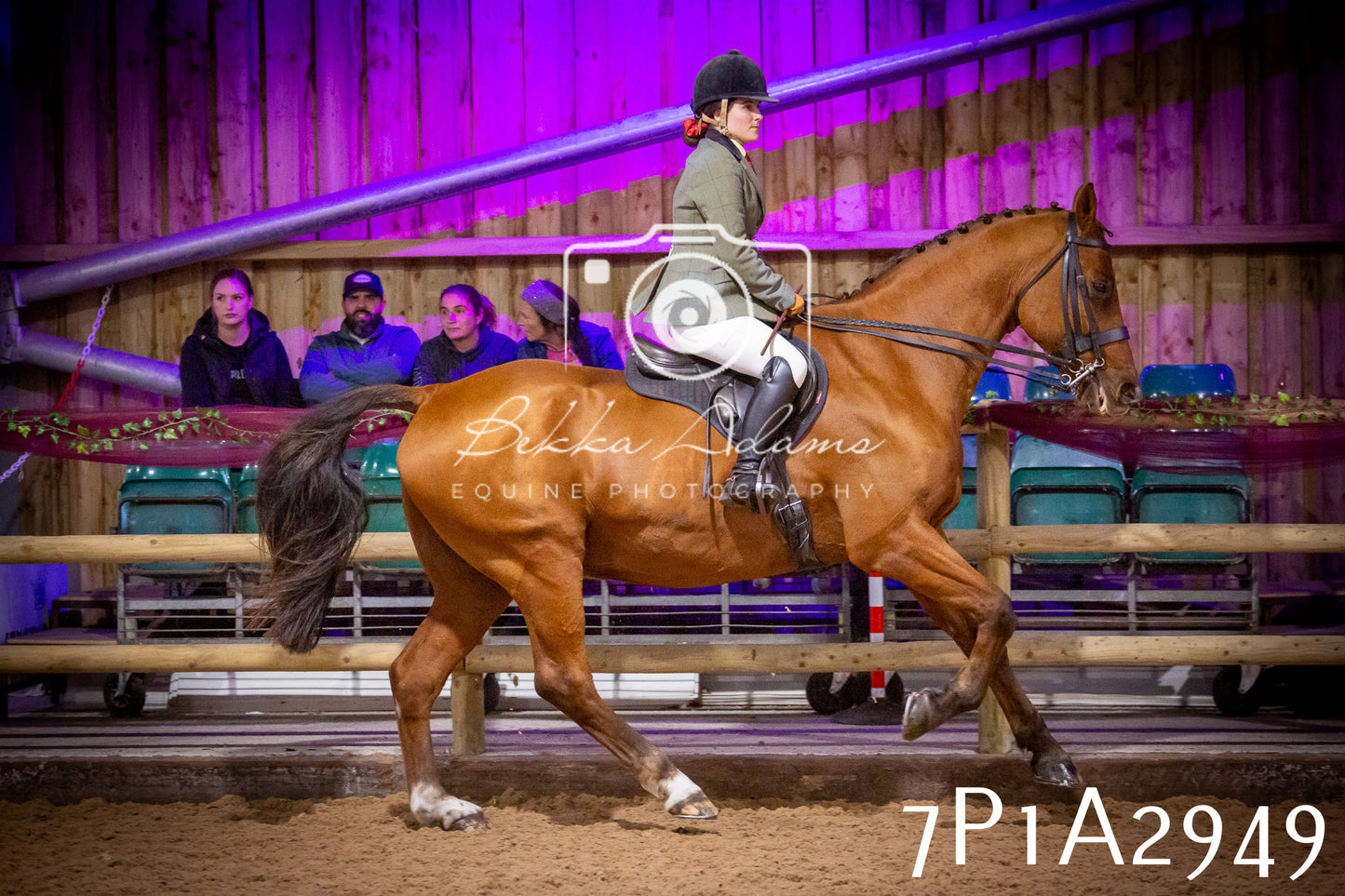 JHOYS 2025 - Ridden Showing - 28th September - pt3