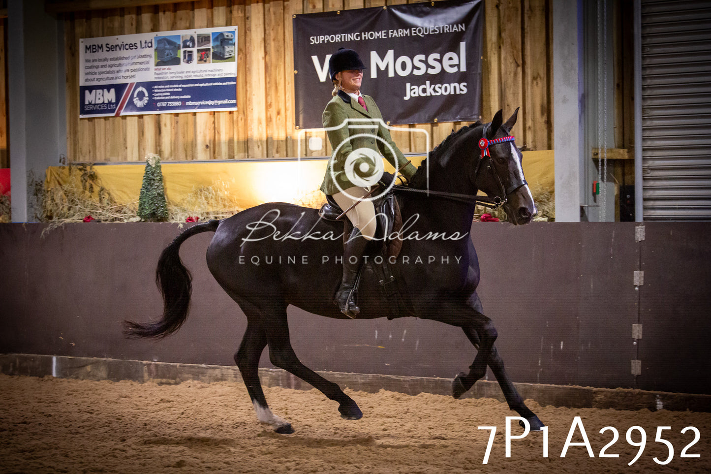 JHOYS 2025 - Ridden Showing - 28th September - pt3