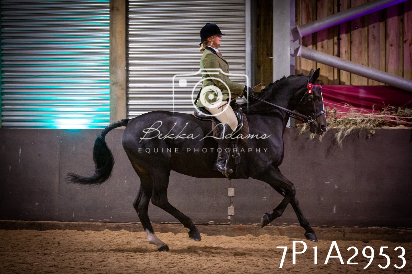 JHOYS 2025 - Ridden Showing - 28th September - pt3