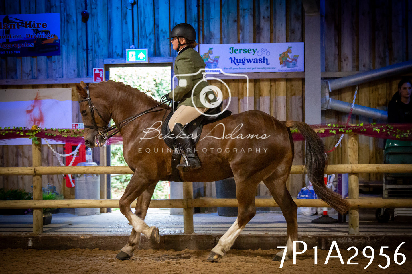 JHOYS 2025 - Ridden Showing - 28th September - pt3