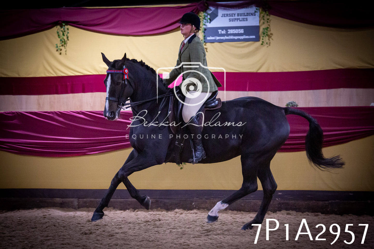 JHOYS 2025 - Ridden Showing - 28th September - pt3