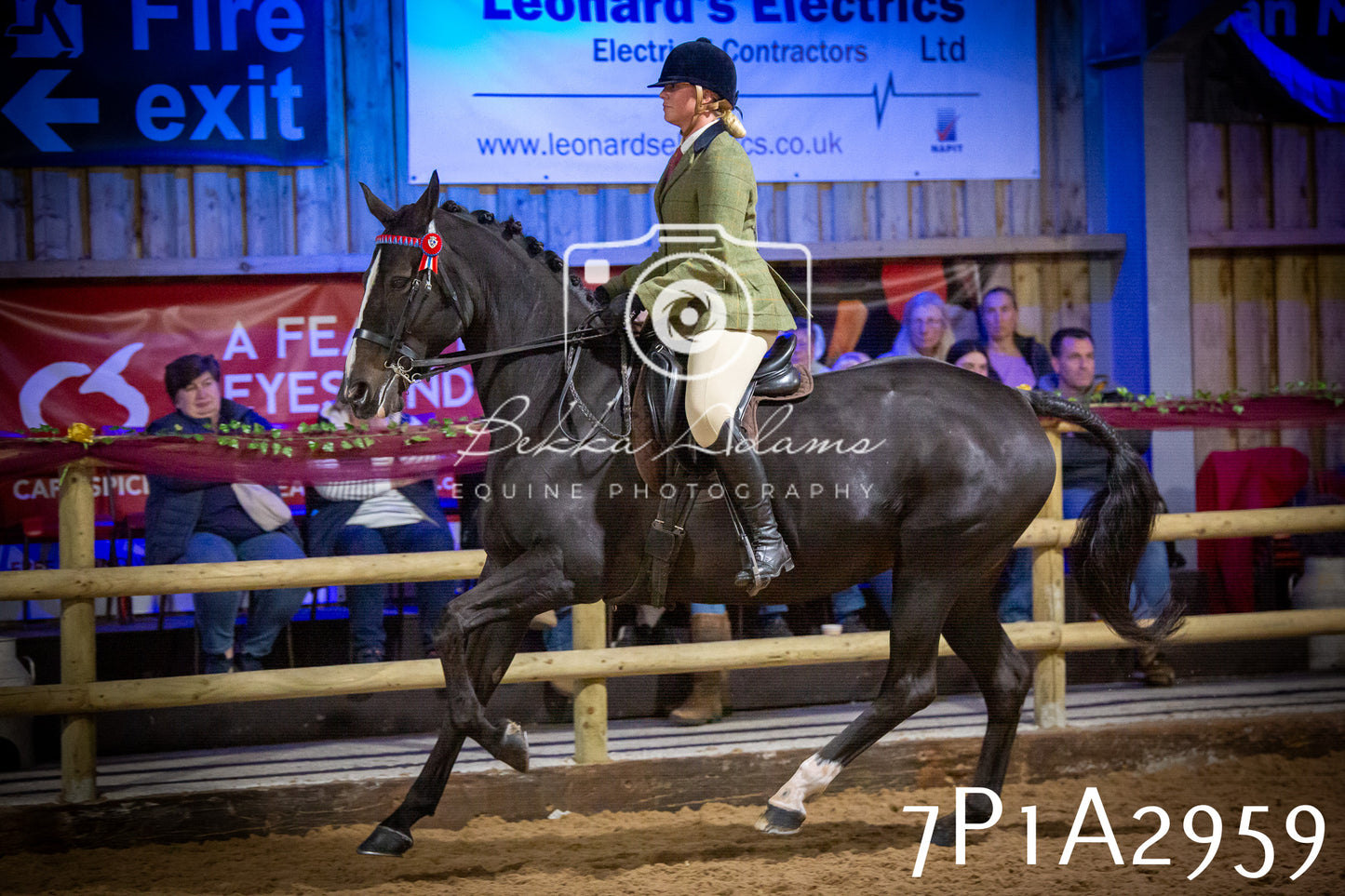 JHOYS 2025 - Ridden Showing - 28th September - pt3