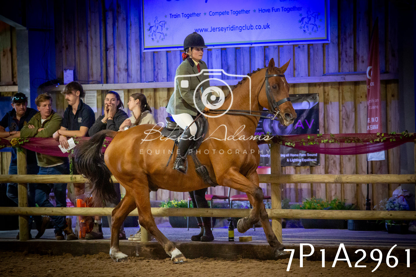 JHOYS 2025 - Ridden Showing - 28th September - pt3