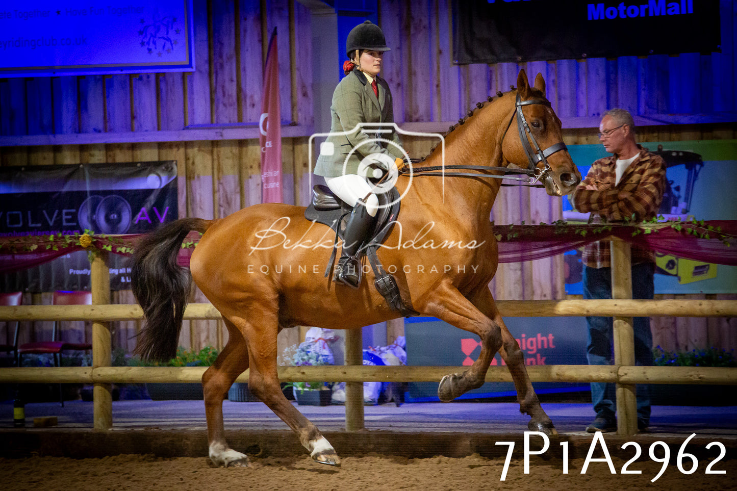 JHOYS 2025 - Ridden Showing - 28th September - pt3