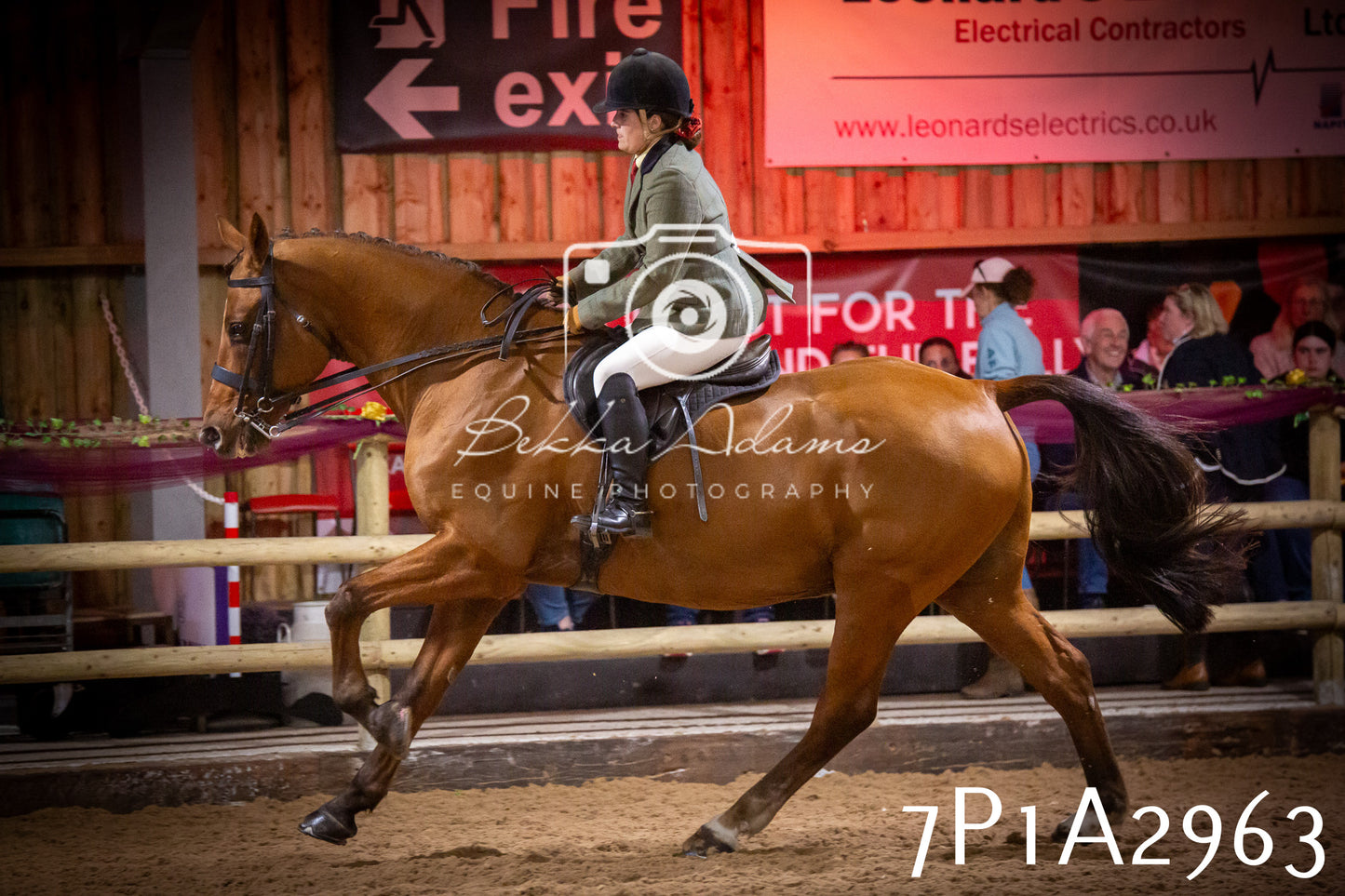 JHOYS 2025 - Ridden Showing - 28th September - pt3