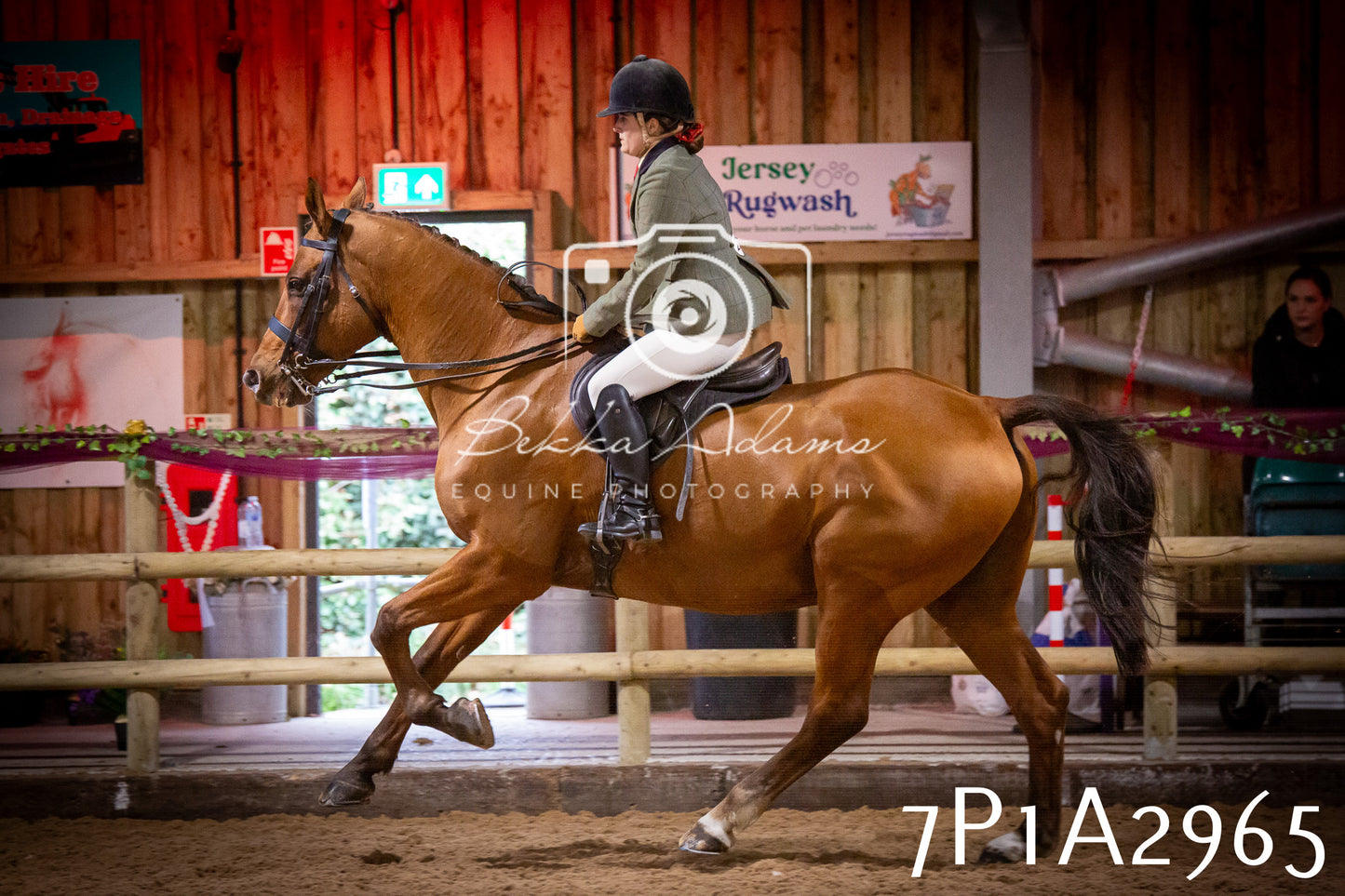 JHOYS 2025 - Ridden Showing - 28th September - pt3