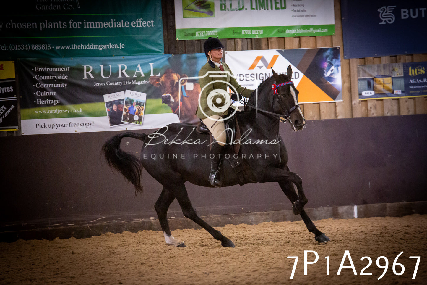 JHOYS 2025 - Ridden Showing - 28th September - pt3