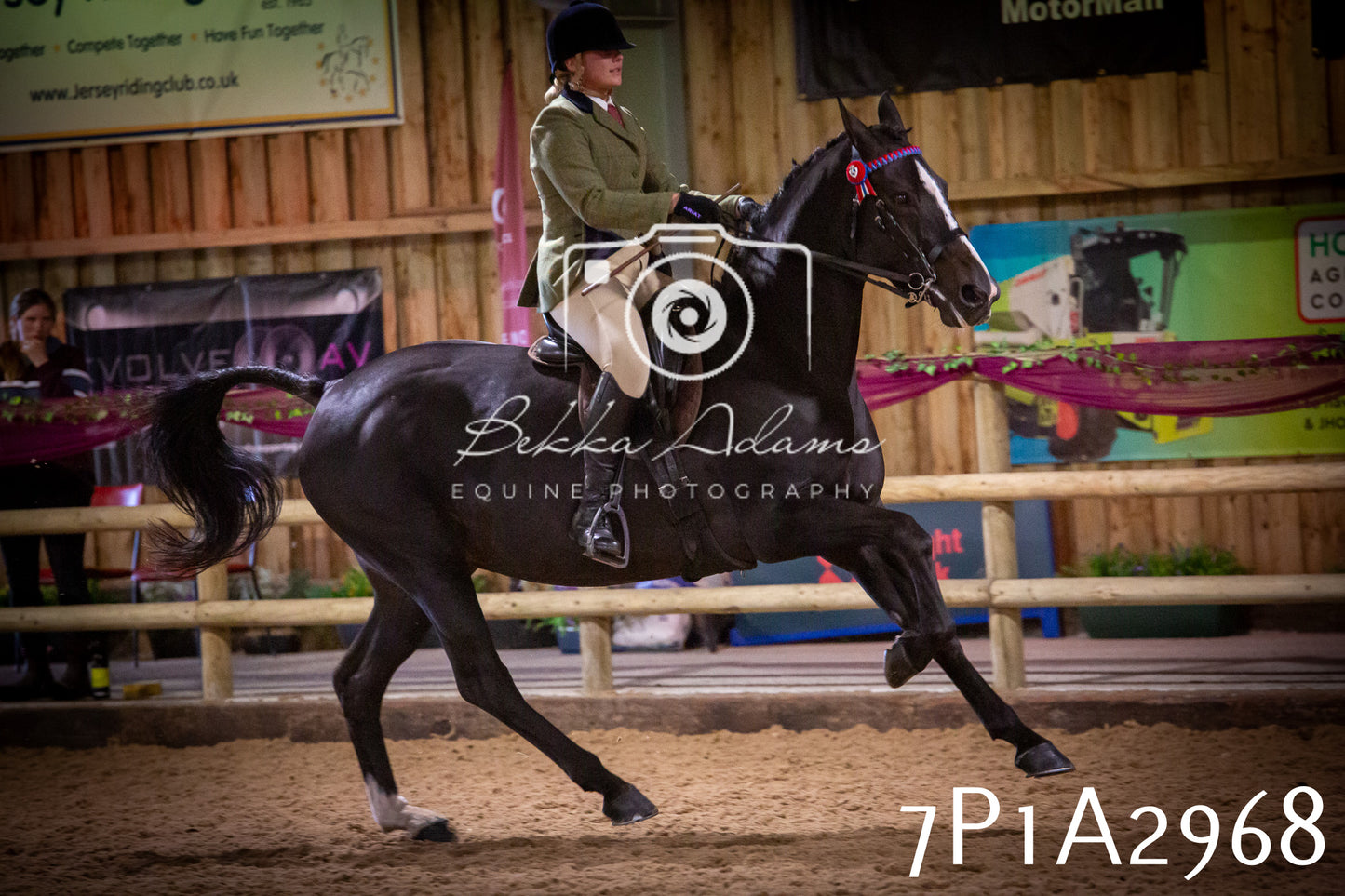 JHOYS 2025 - Ridden Showing - 28th September - pt3