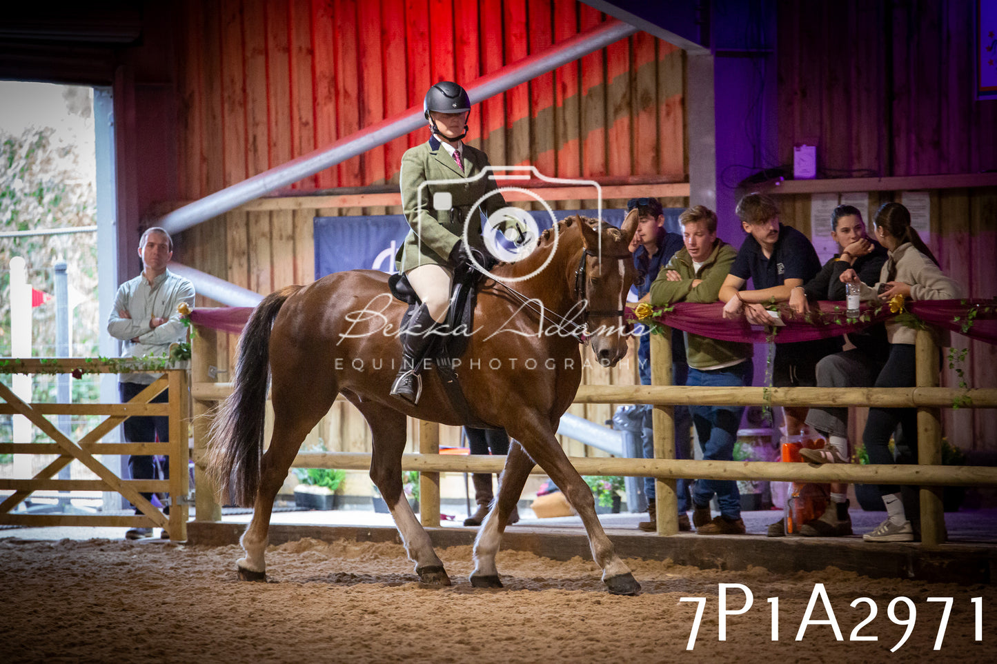 JHOYS 2025 - Ridden Showing - 28th September - pt3