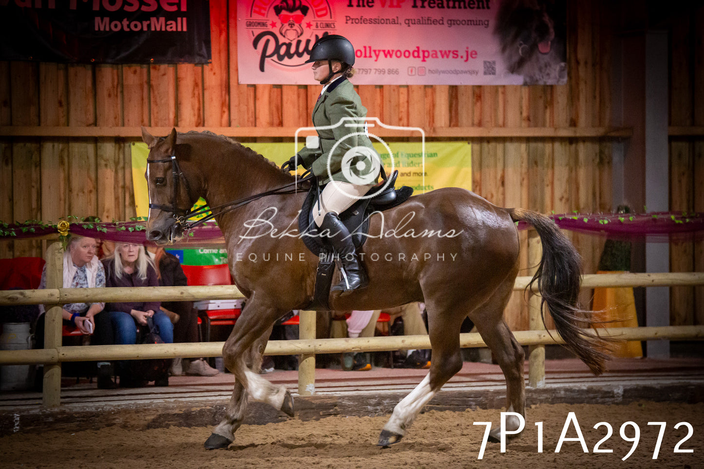 JHOYS 2025 - Ridden Showing - 28th September - pt3