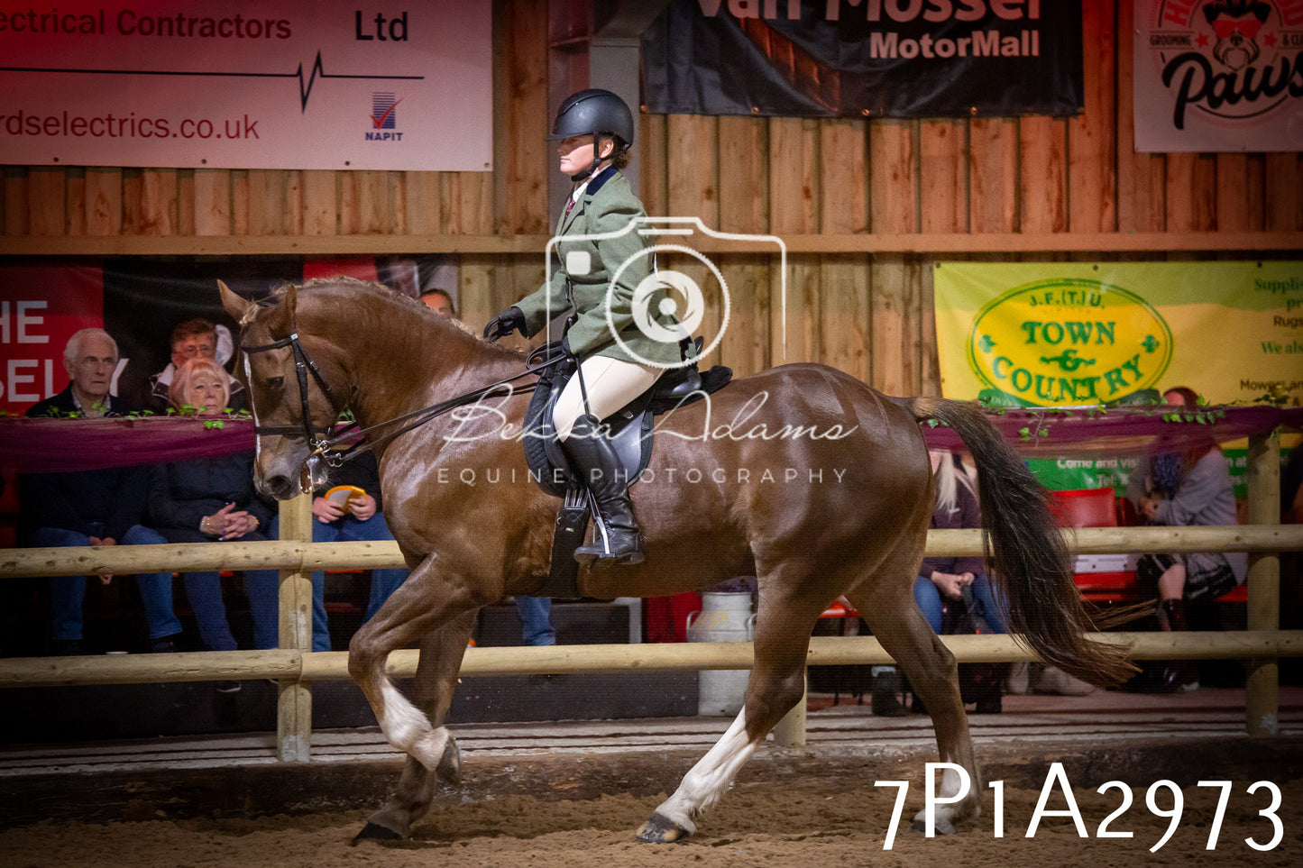 JHOYS 2025 - Ridden Showing - 28th September - pt3