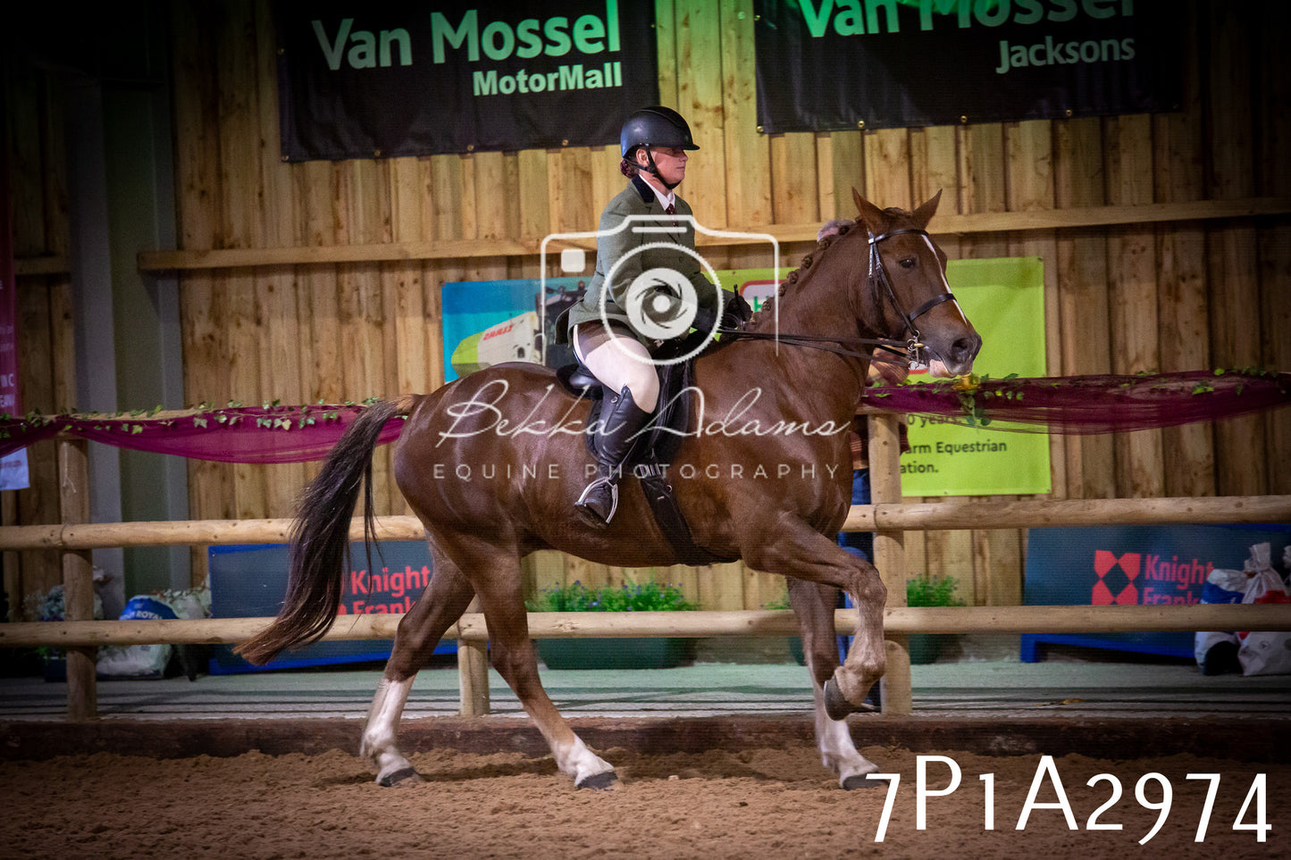 JHOYS 2025 - Ridden Showing - 28th September - pt3