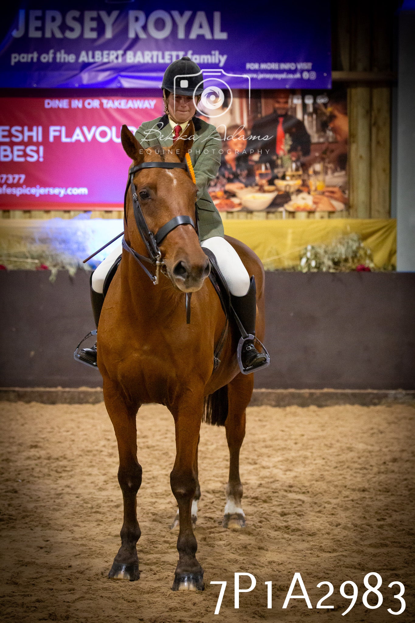 JHOYS 2025 - Ridden Showing - 28th September - pt3