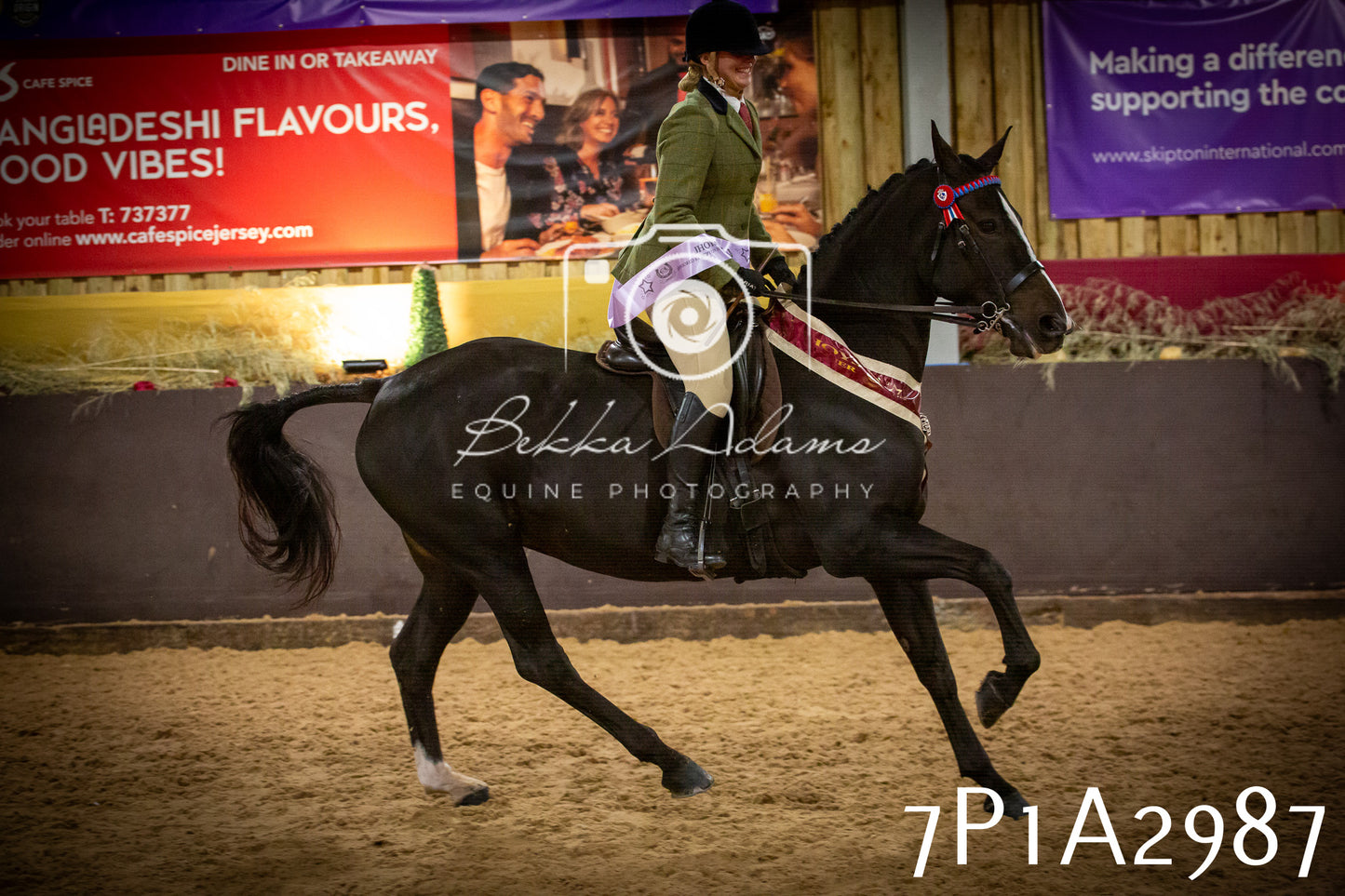 JHOYS 2025 - Ridden Showing - 28th September - pt3