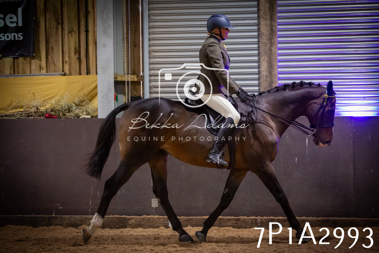 JHOYS 2025 - Ridden Showing - 28th September - pt3