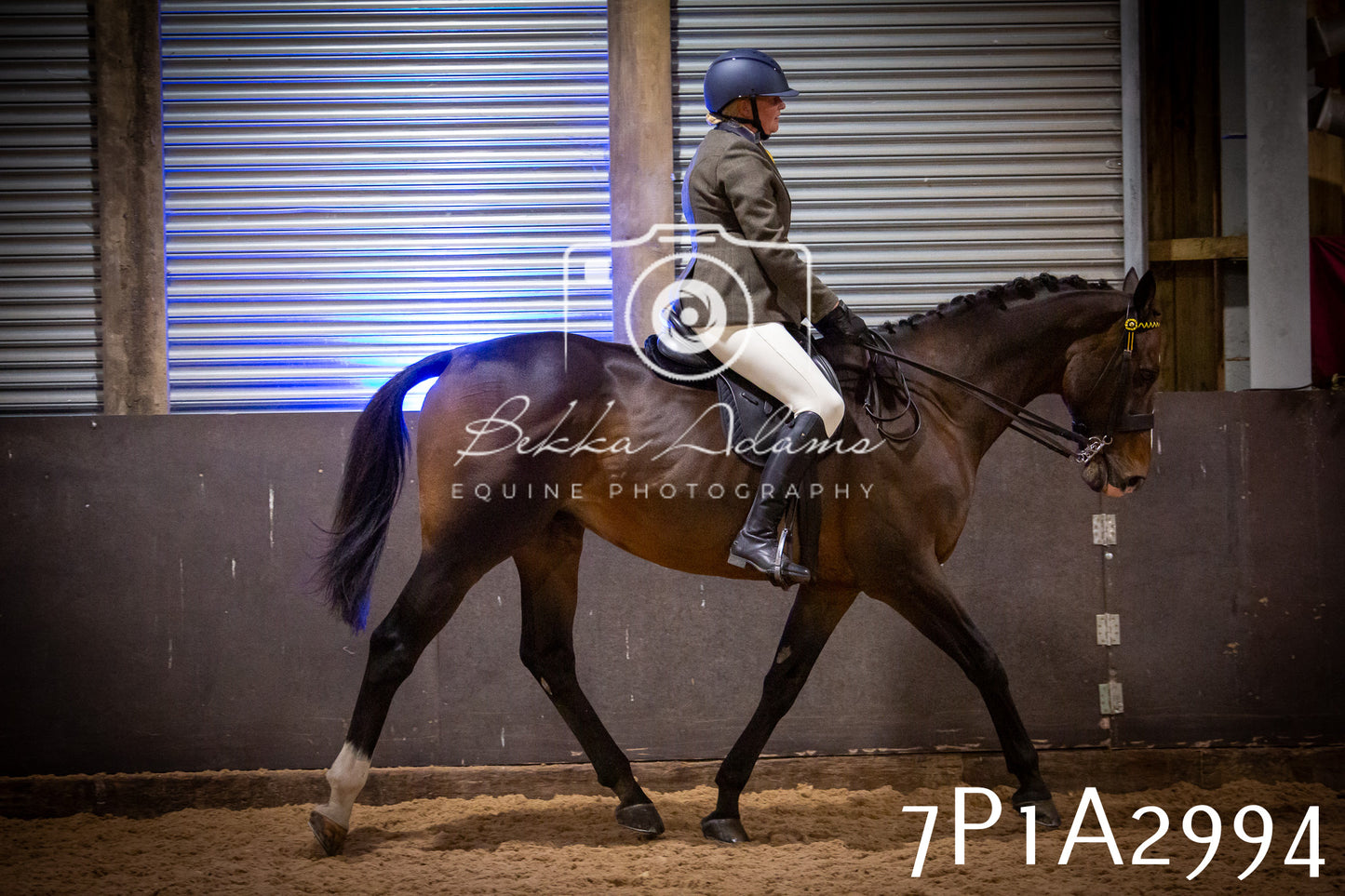 JHOYS 2025 - Ridden Showing - 28th September - pt3