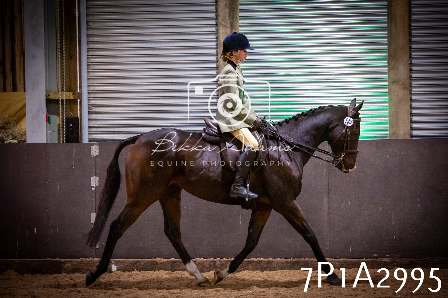 JHOYS 2025 - Ridden Showing - 28th September - pt3