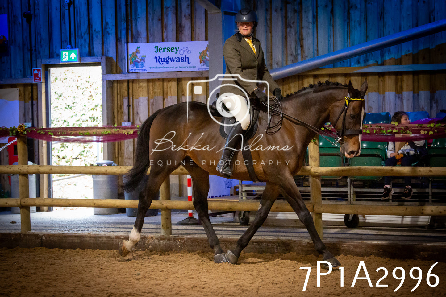 JHOYS 2025 - Ridden Showing - 28th September - pt3