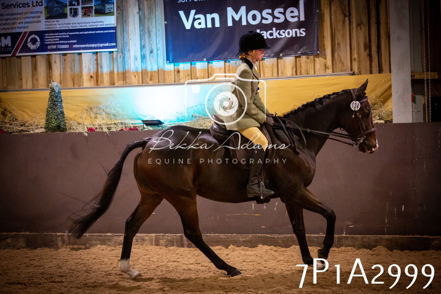 JHOYS 2025 - Ridden Showing - 28th September - pt3