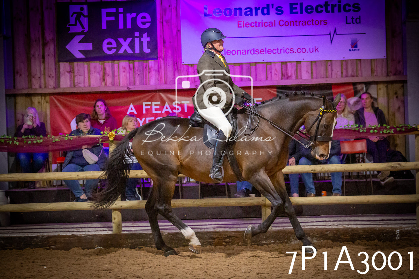 JHOYS 2025 - Ridden Showing - 28th September - pt3