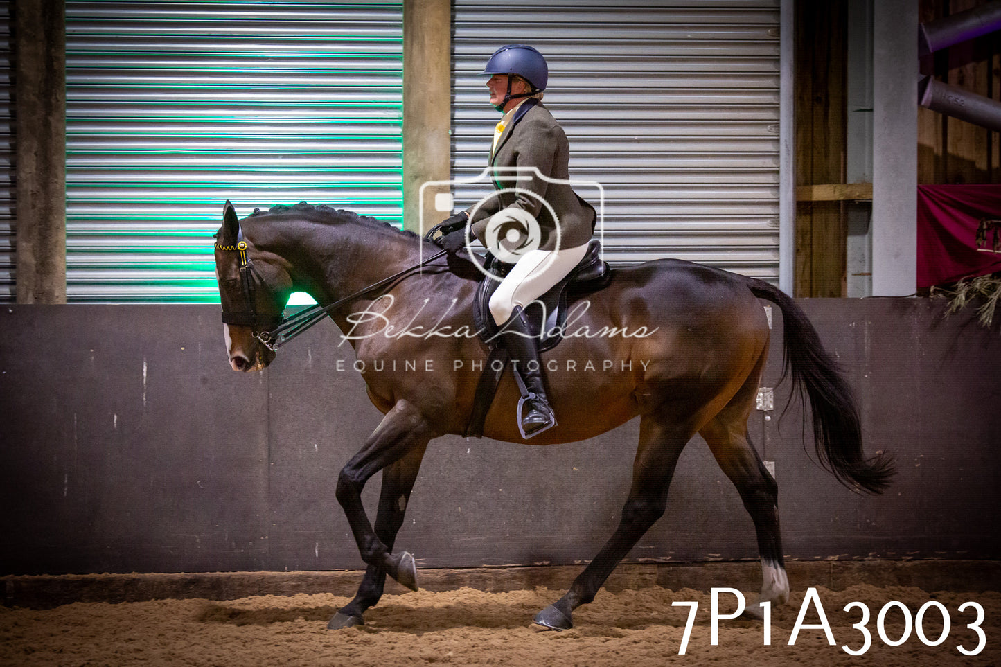 JHOYS 2025 - Ridden Showing - 28th September - pt3