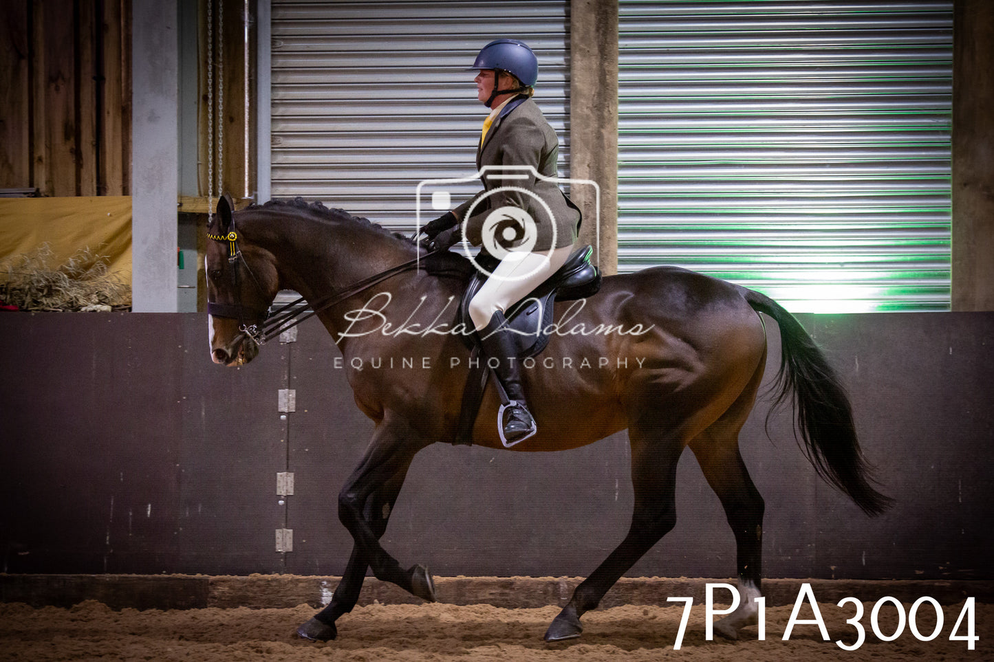 JHOYS 2025 - Ridden Showing - 28th September - pt3