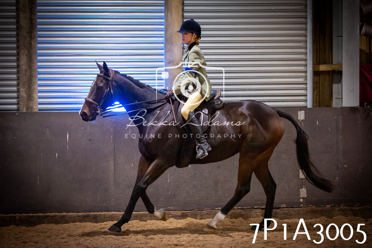 JHOYS 2025 - Ridden Showing - 28th September - pt3