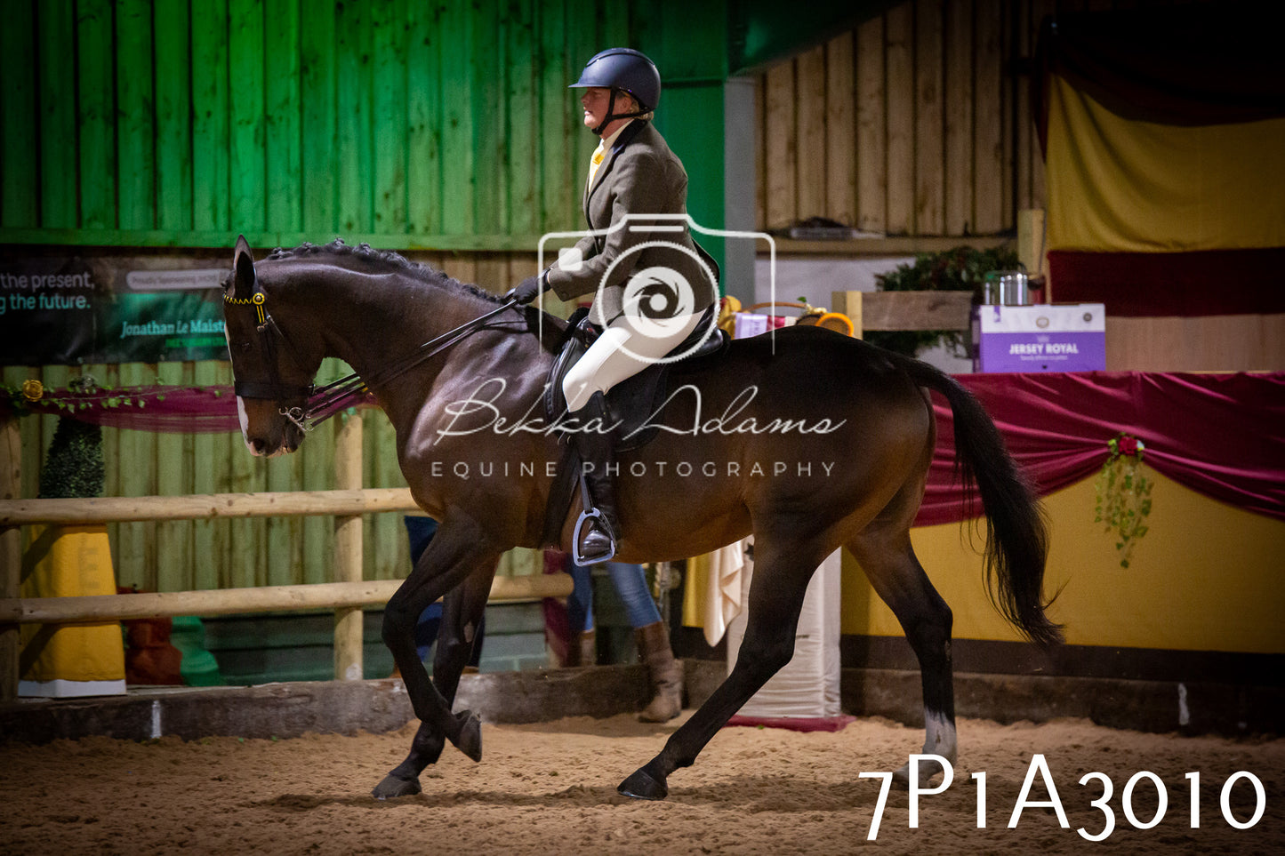 JHOYS 2025 - Ridden Showing - 28th September - pt3