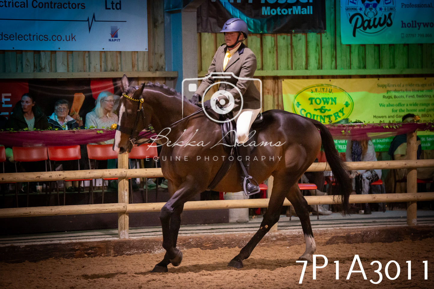 JHOYS 2025 - Ridden Showing - 28th September - pt3