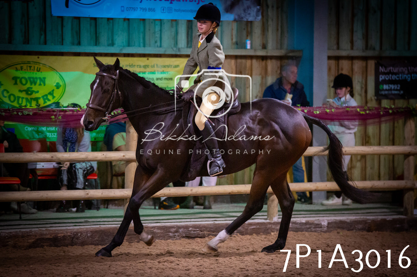 JHOYS 2025 - Ridden Showing - 28th September - pt3