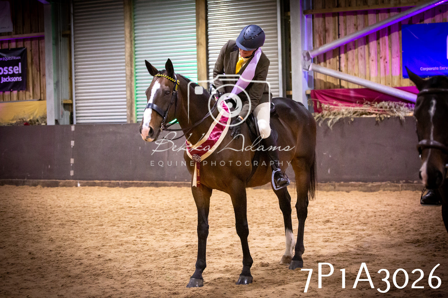 JHOYS 2025 - Ridden Showing - 28th September - pt3