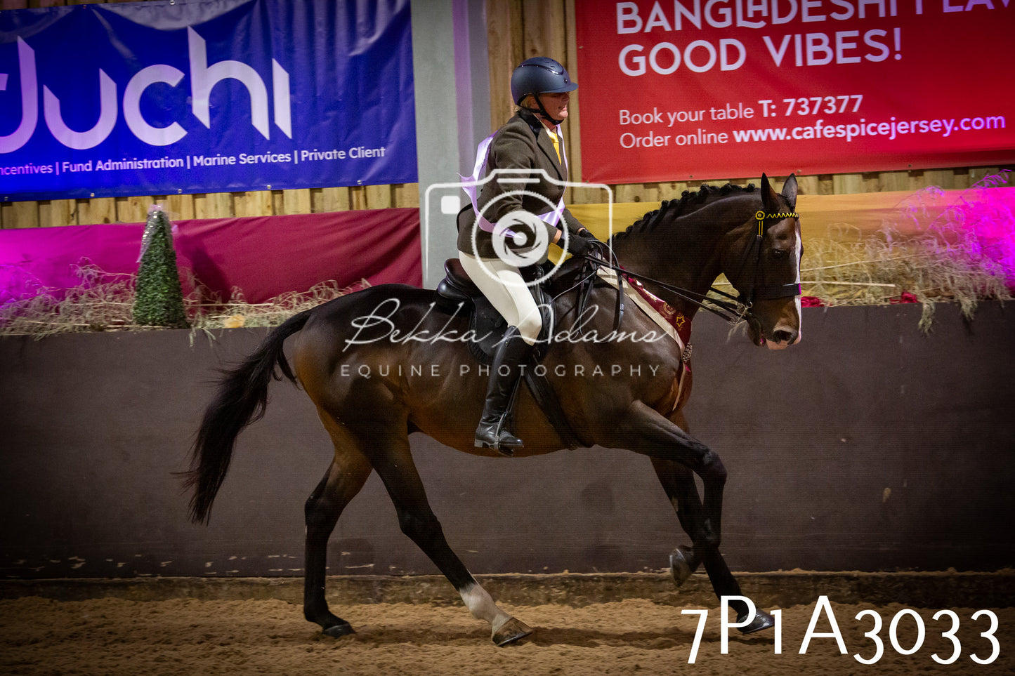 JHOYS 2025 - Ridden Showing - 28th September - pt3