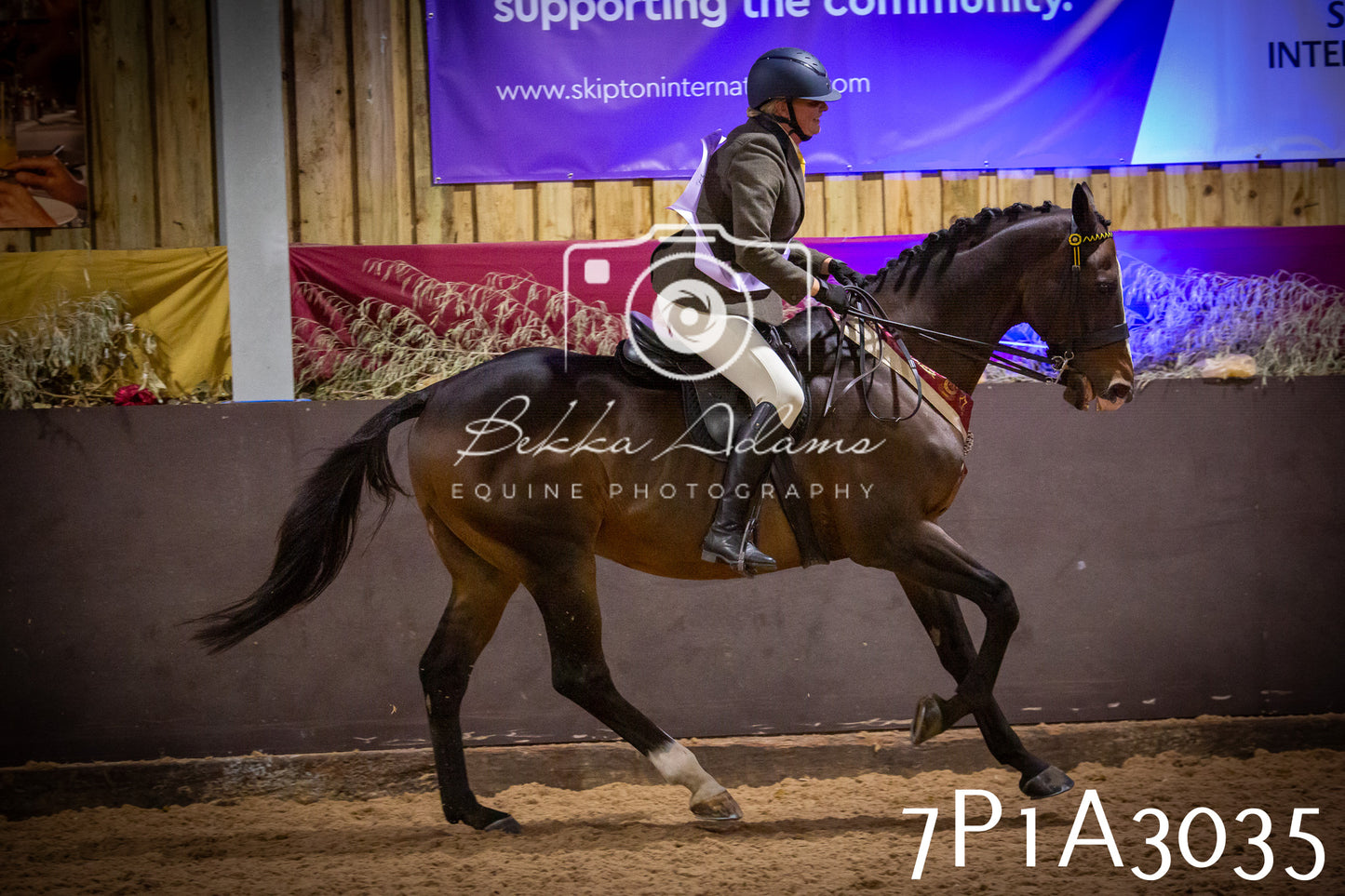 JHOYS 2025 - Ridden Showing - 28th September - pt3