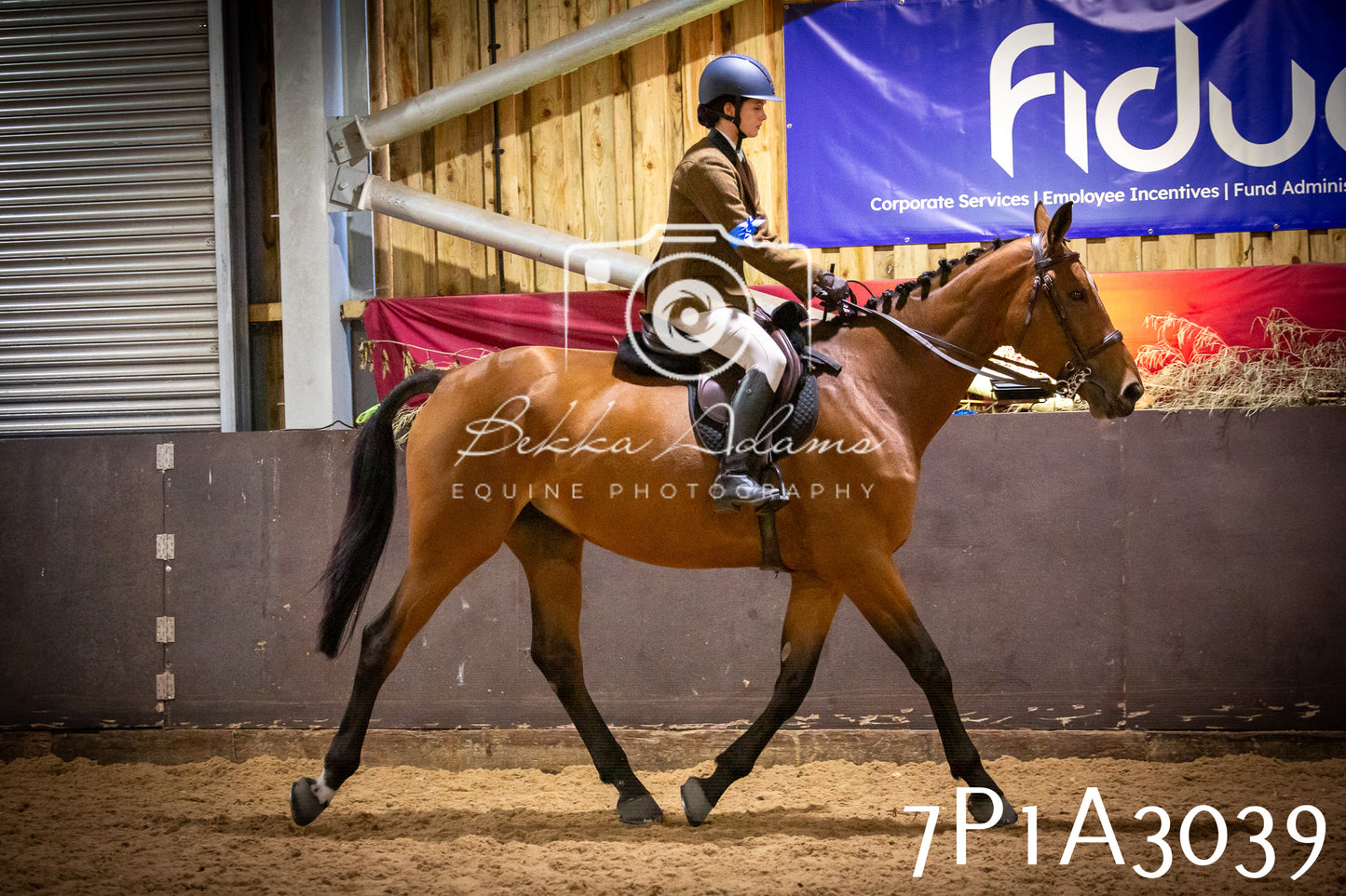 JHOYS 2025 - Ridden Showing - 28th September - pt3