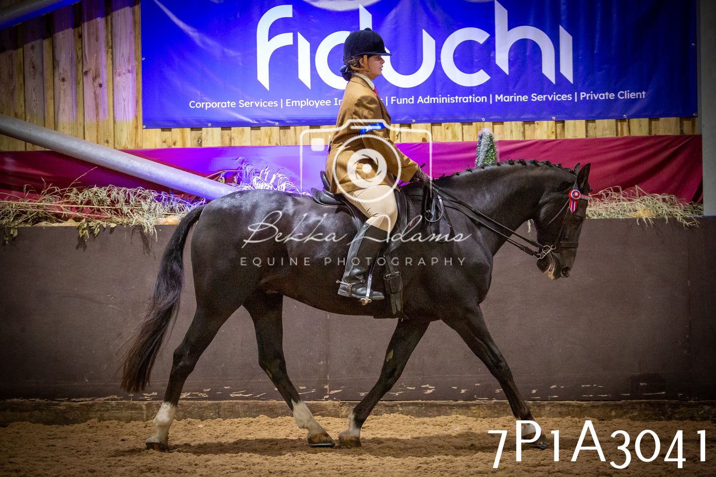 JHOYS 2025 - Ridden Showing - 28th September - pt3