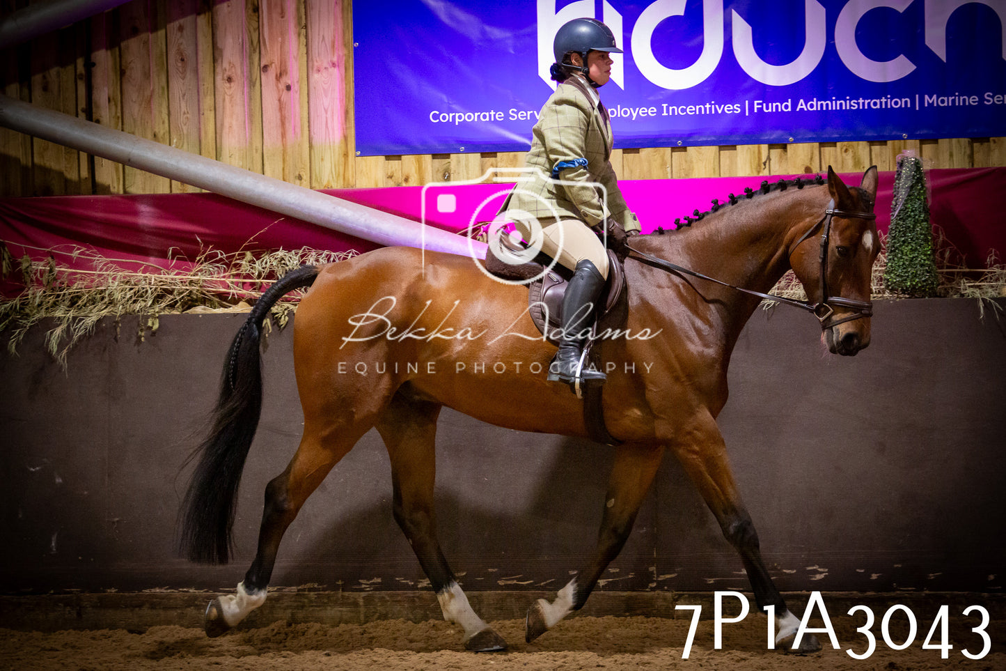 JHOYS 2025 - Ridden Showing - 28th September - pt3