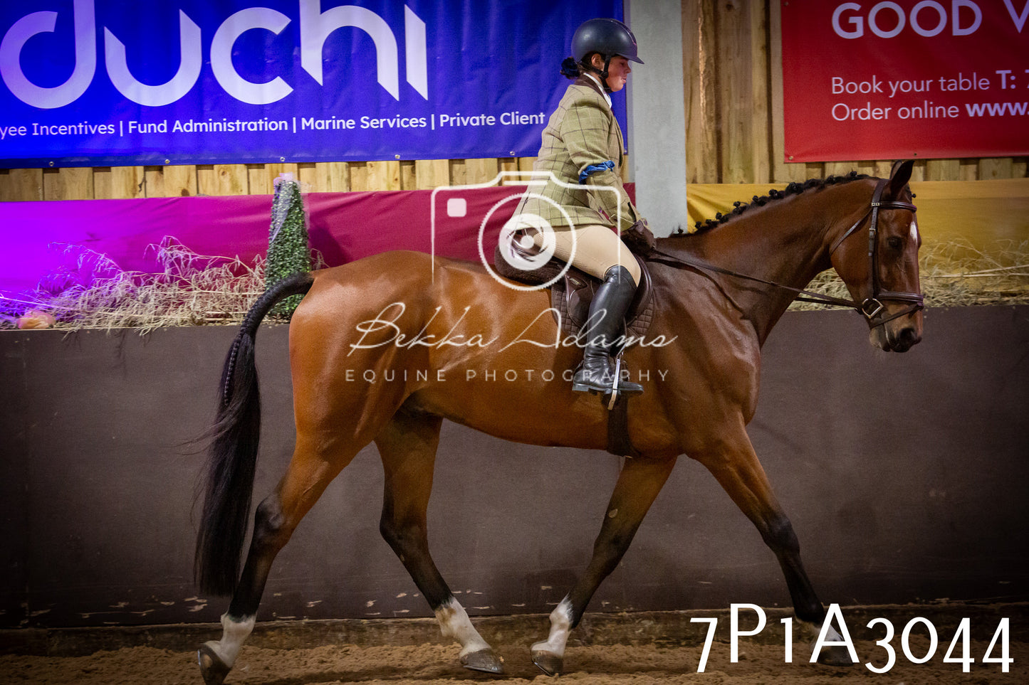 JHOYS 2025 - Ridden Showing - 28th September - pt3