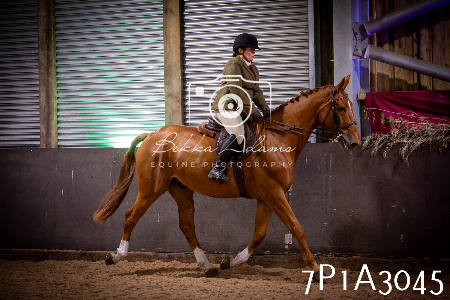 JHOYS 2025 - Ridden Showing - 28th September - pt3