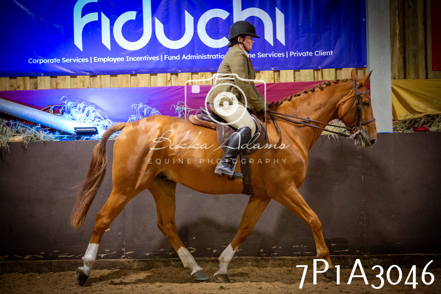 JHOYS 2025 - Ridden Showing - 28th September - pt3