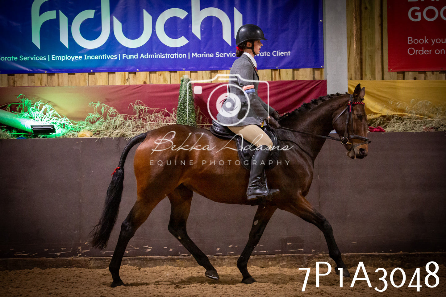 JHOYS 2025 - Ridden Showing - 28th September - pt3