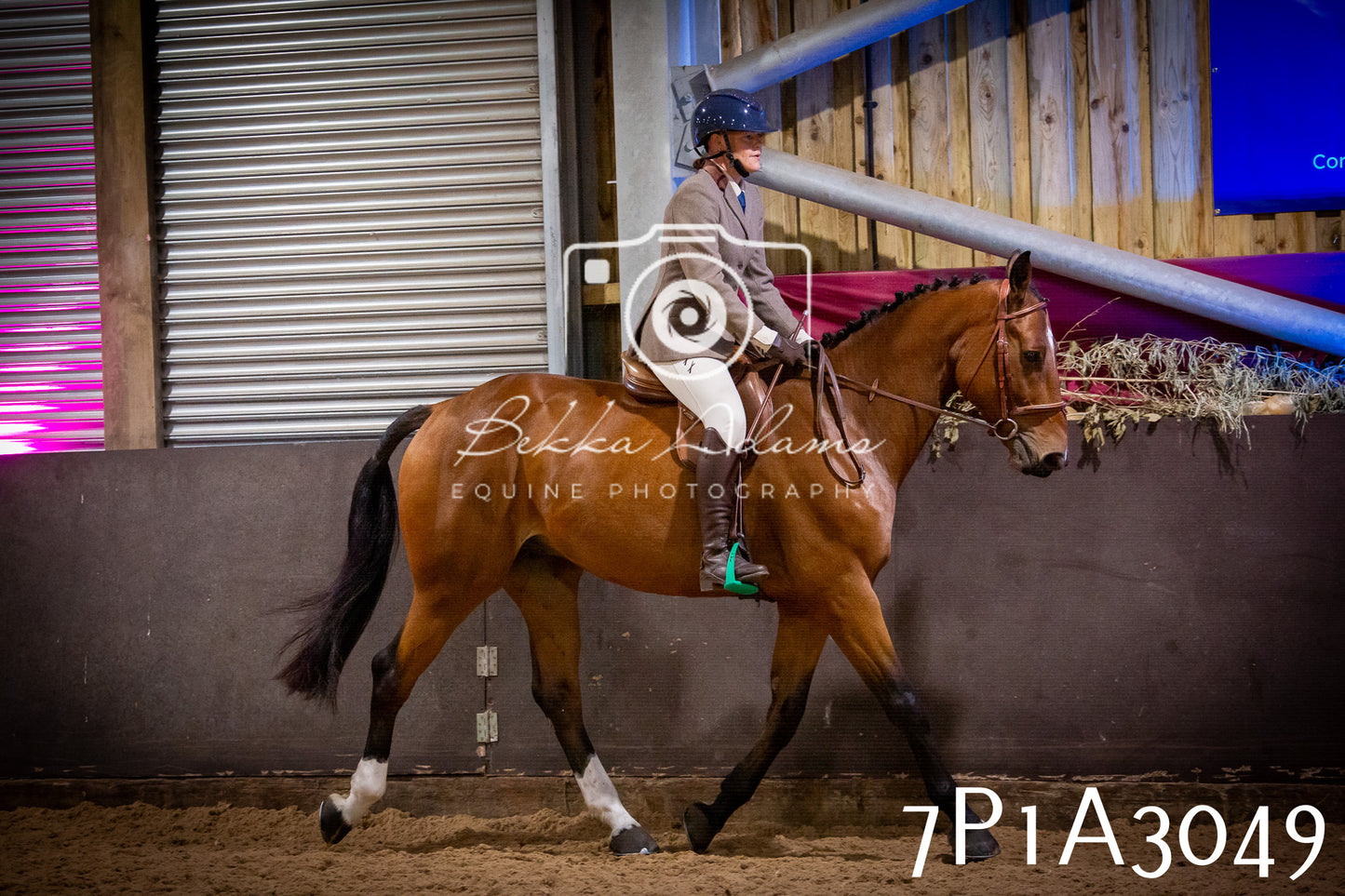 JHOYS 2025 - Ridden Showing - 28th September - pt3