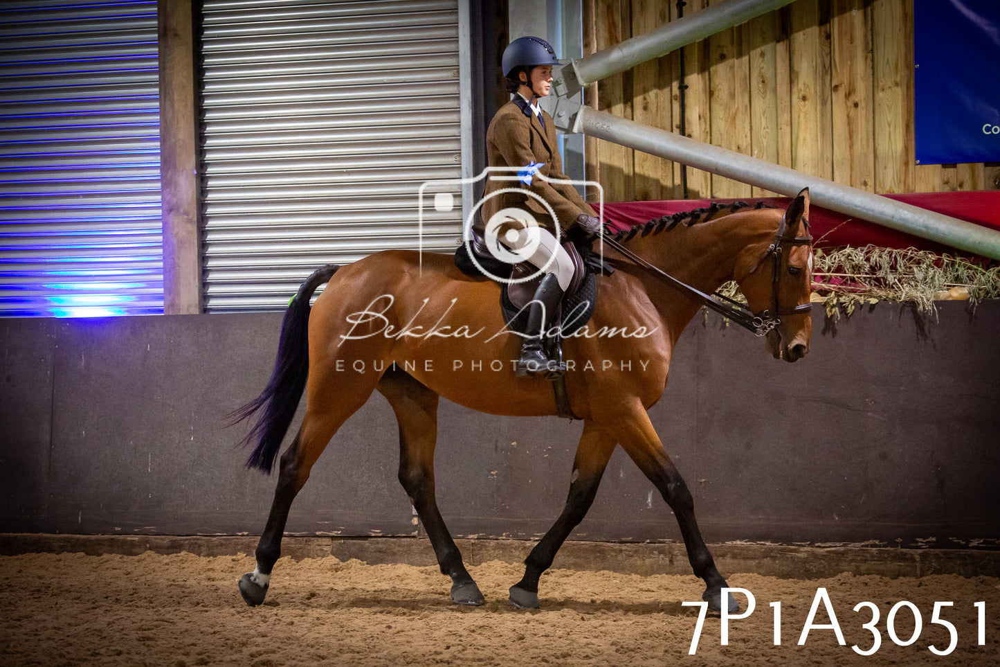 JHOYS 2025 - Ridden Showing - 28th September - pt3